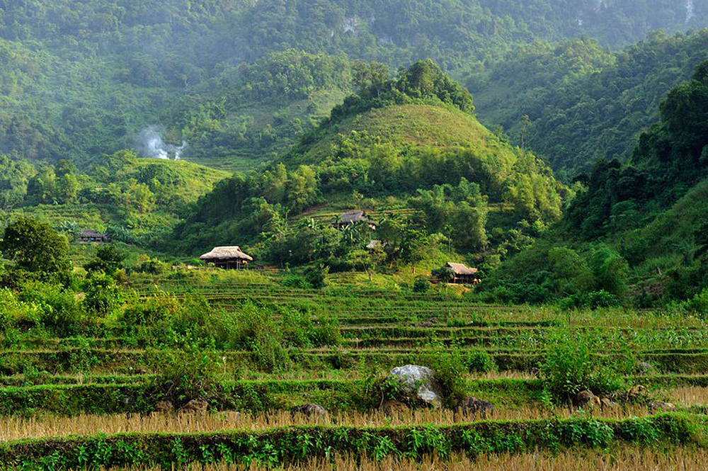 Les 10 parcs nationaux les plus attrayants du Vietnam